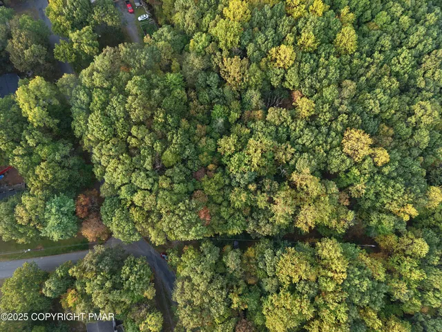 a view of a lake with a tree