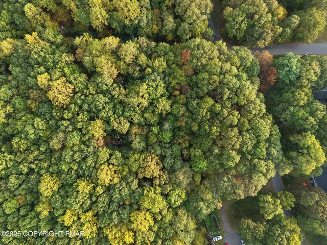an aerial view of houses covered in trees