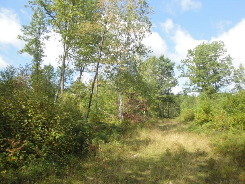 57.7 A Mildred Parkway Rhinelander, WI 54501 - Photo 10 of 16 Gallery Image 10