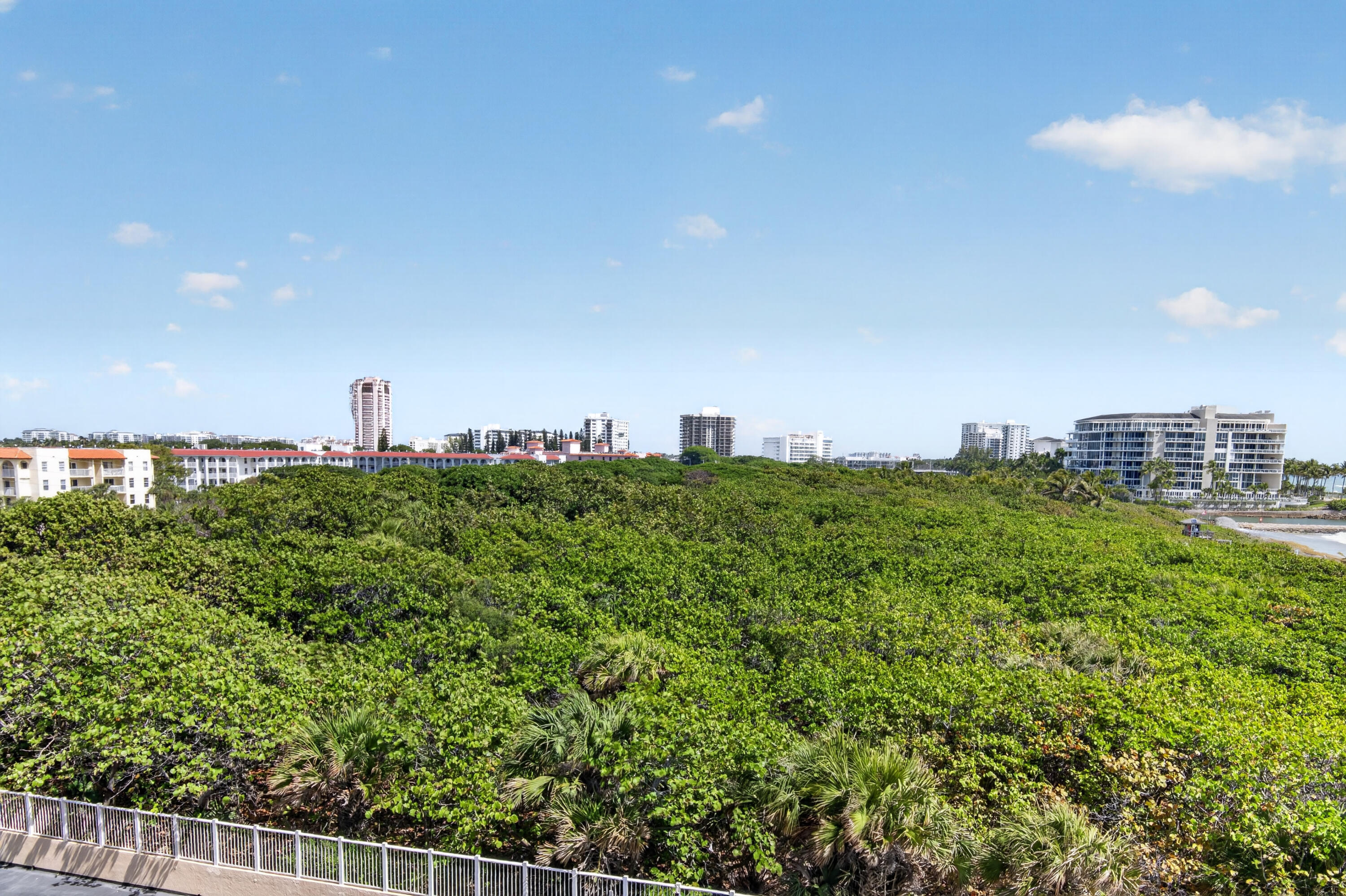 1180 South Ocean Boulevard, Unit 5C Boca Raton, FL 33432 - Photo 32 of 43 a close up of a green field
