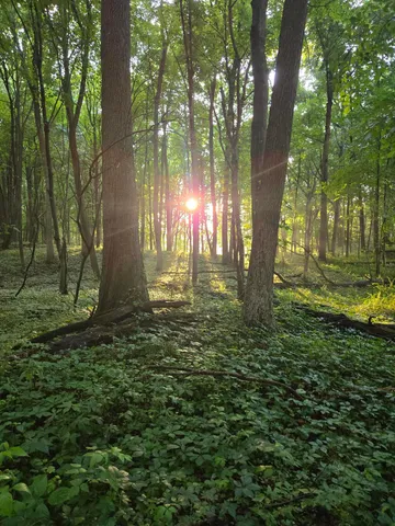 $369,900 | 6740 Folks Road, Horton, MI 49246