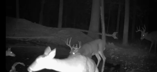 $369,900 | 6740 Folks Road, Horton, MI 49246