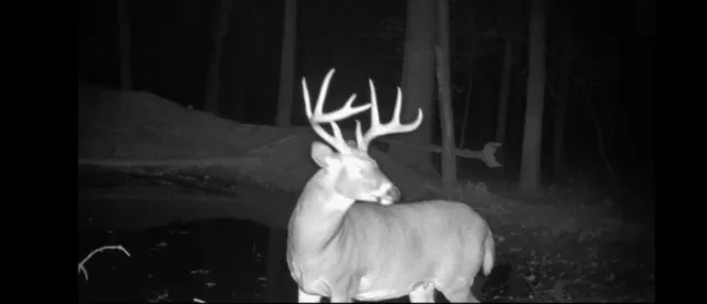 $369,900 | 6740 Folks Road, Horton, MI 49246