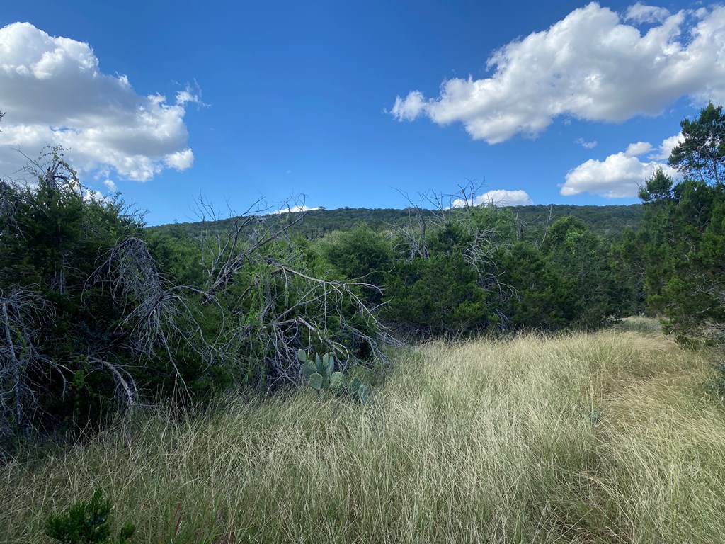 0 Old Rocksprings Road Leakey, TX 78873 - Photo 3 of 18