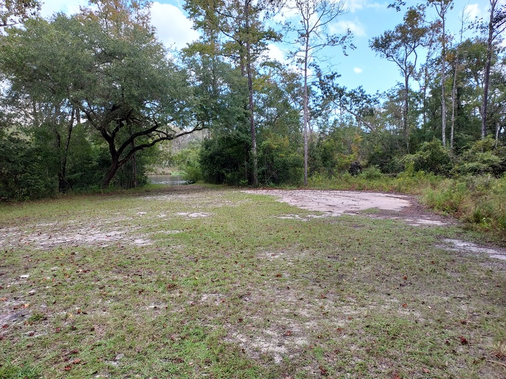 560 Clark's Landing Road Carrabelle, FL 32322 - Photo 12 of 17