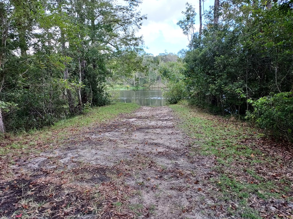 560 Clark's Landing Road Carrabelle, FL 32322 - Photo 13 of 17