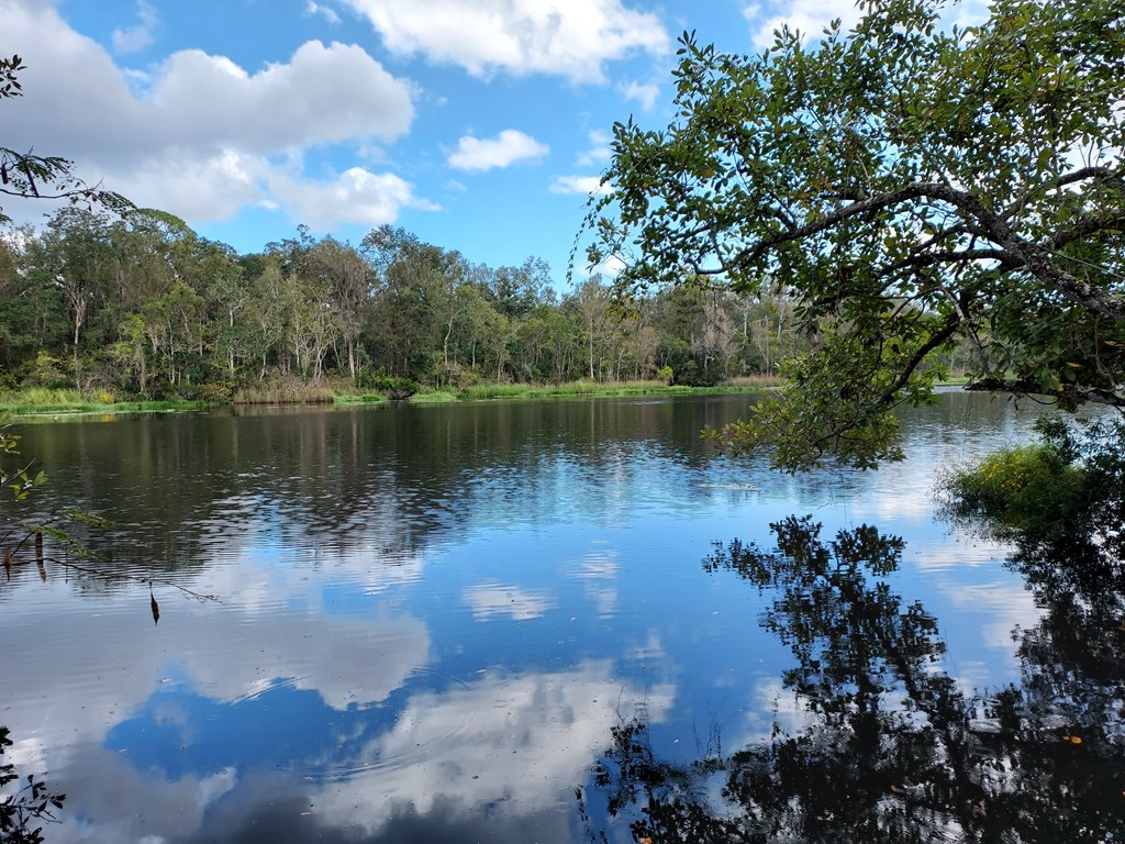 560 Clark's Landing Road Carrabelle, FL 32322 - Photo 14 of 17