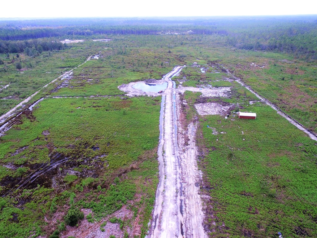 560 Clark's Landing Road Carrabelle, FL 32322 - Photo 2 of 17