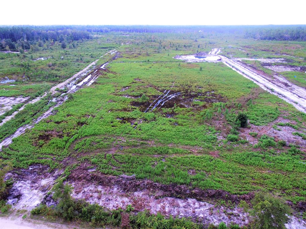 560 Clark's Landing Road Carrabelle, FL 32322 - Photo 4 of 17