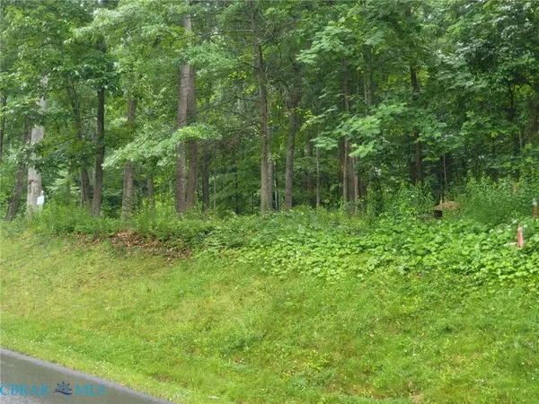 $80,000 | Lot 50 Donald Ross Trail, Hot Springs, VA 24445