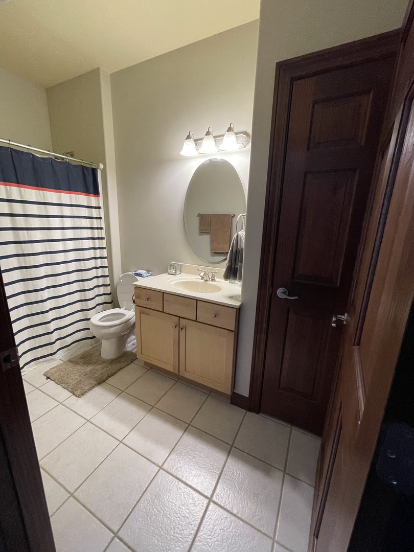 9482 Abbey Way Downs, IL 61736 - Photo 44 of 93 a bathroom with a sink a vanity and a mirror