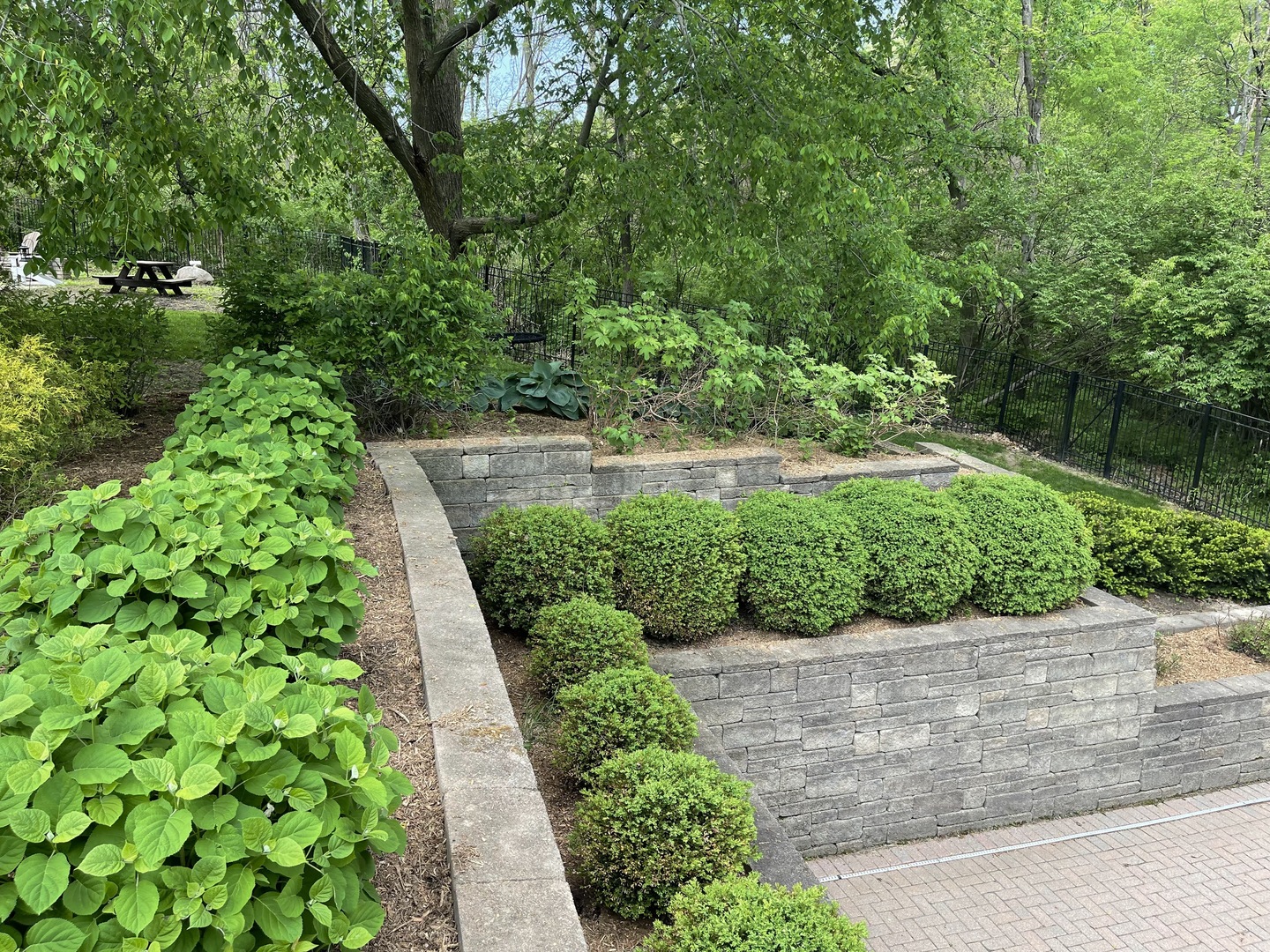 9482 Abbey Way Downs, IL 61736 - Photo 74 of 93 a view of a garden with pathway