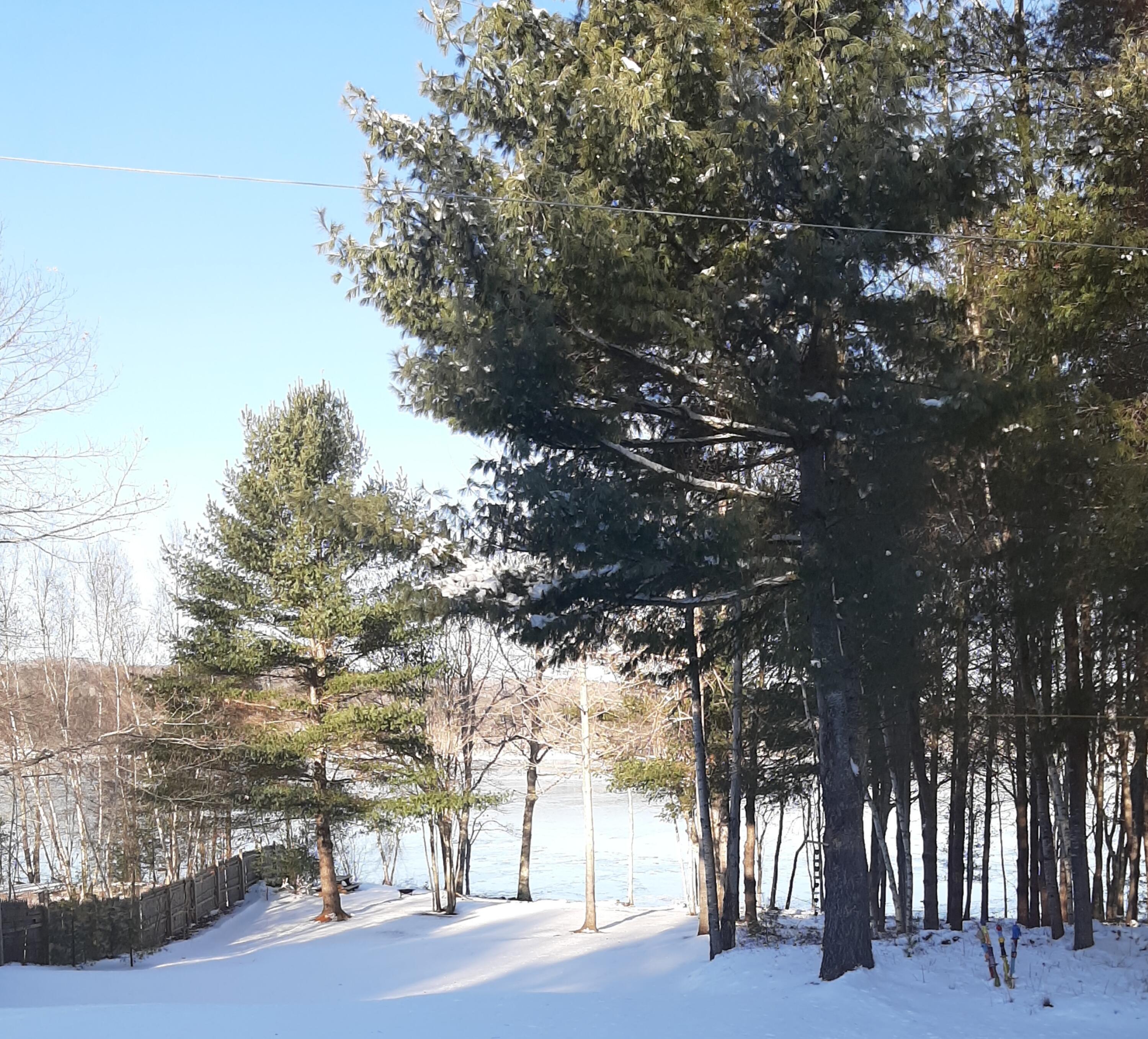 1266 Sennebec Road Appleton, ME 04862 - Photo 55 of 55 1266 Sennebec Road