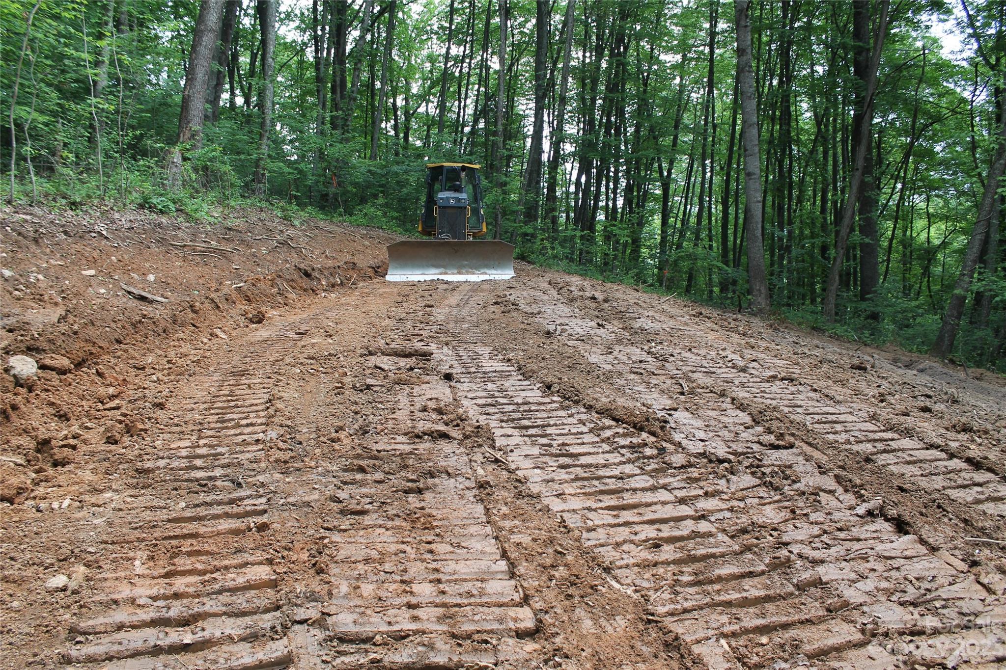 a view of a yard with plants and trees