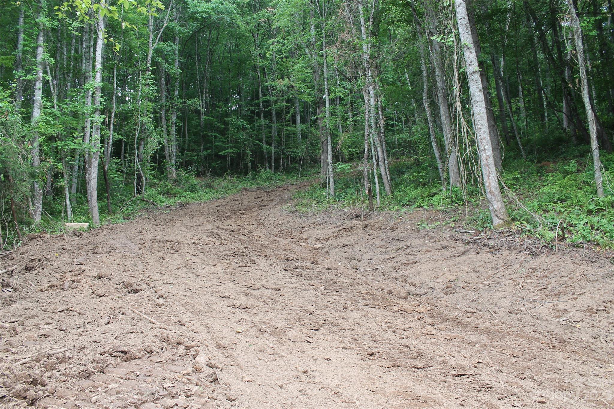 1 Long Branch Road Clyde, NC 28721 - Photo 2 of 7 a view of outdoor space and green space
