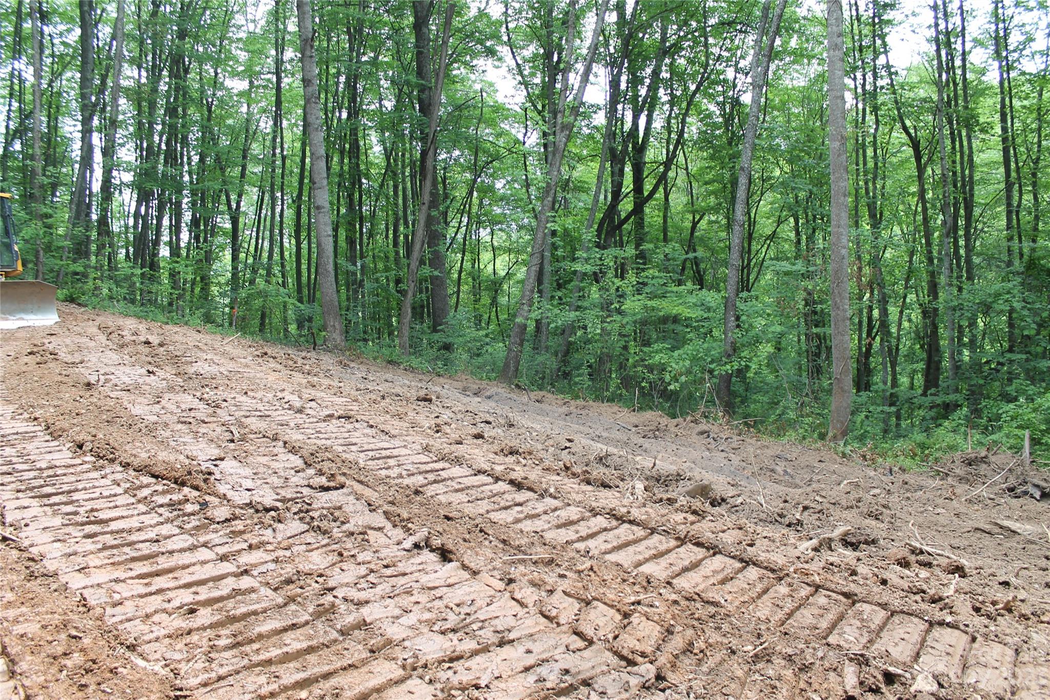 1 Long Branch Road Clyde, NC 28721 - Photo 3 of 7 a view of a road with trees in the background