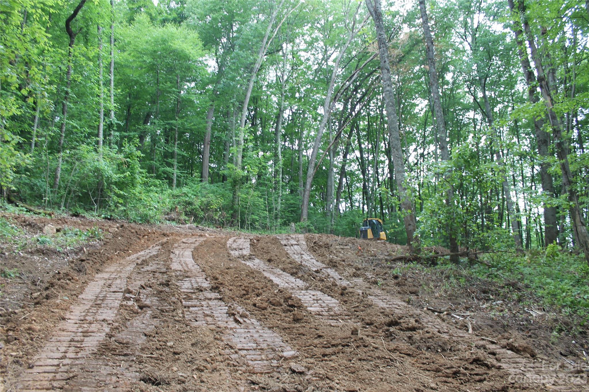 1 Long Branch Road Clyde, NC 28721 - Photo 4 of 7 a view of a yard with large trees