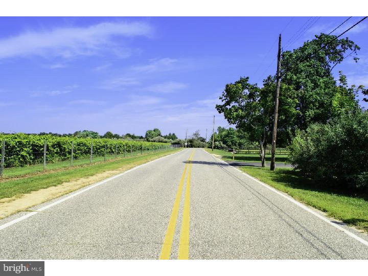 394 Forked Neck Road Shamong, NJ 08088 - Photo 13 of 13 View