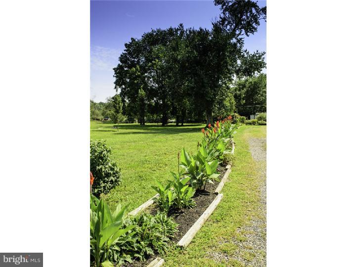 394 Forked Neck Road Shamong, NJ 08088 - Photo 5 of 13 View