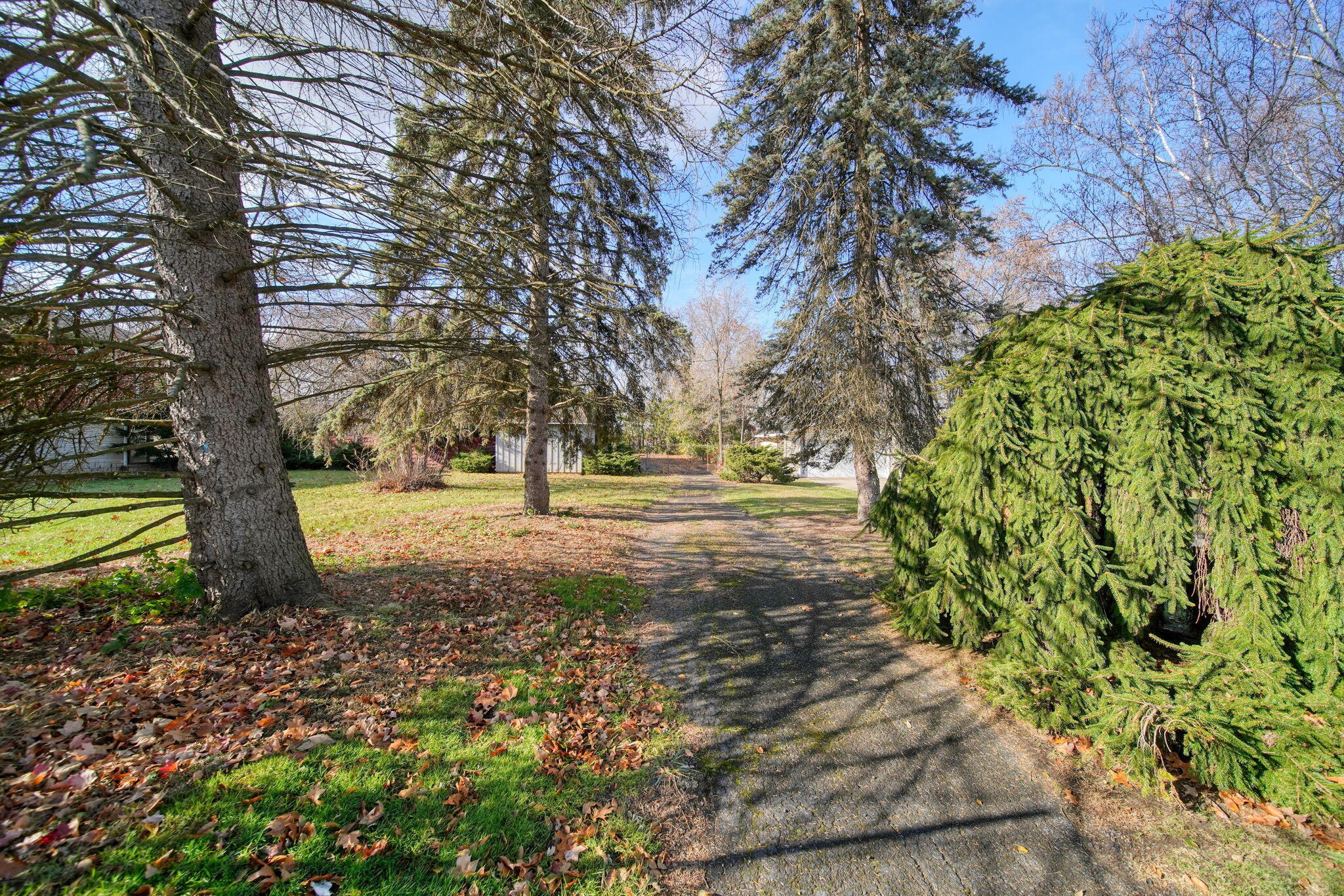 182 Peach Street Jackson, MI 49202 - Photo 44 of 44 44-web-or-mls-DSC01568_HDR