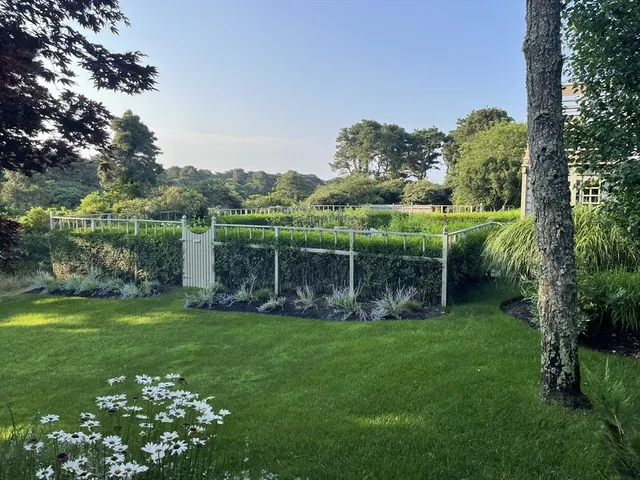 a view of a park with large trees