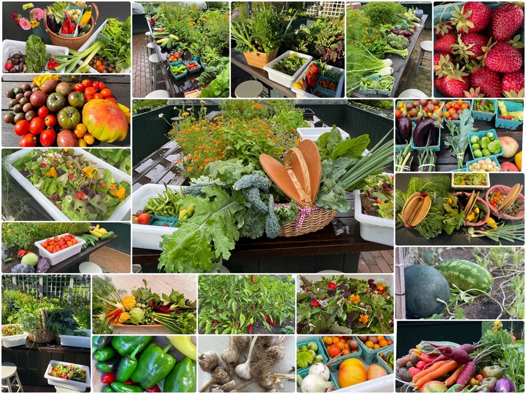 1 A Pochick Avenue Nantucket, MA 02554 - Photo 36 of 41