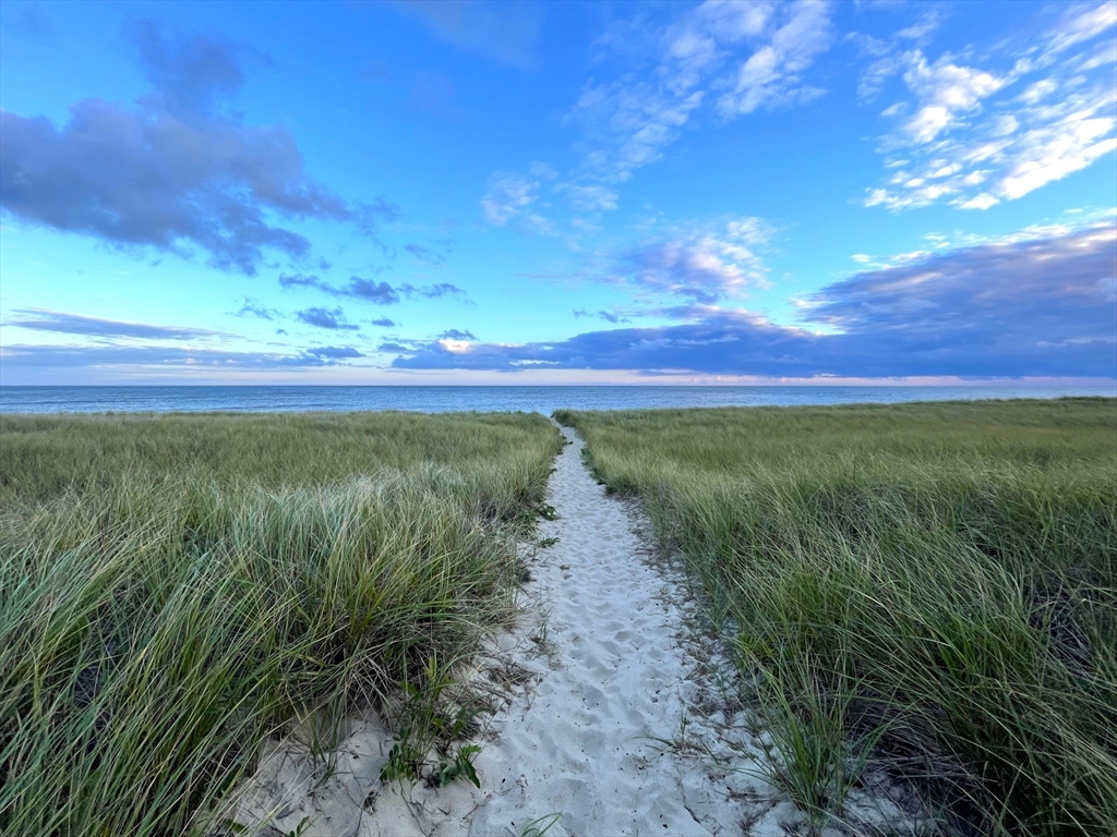 1 A Pochick Avenue Nantucket, MA 02554 - Photo 40 of 41 a view of a yard with an ocean