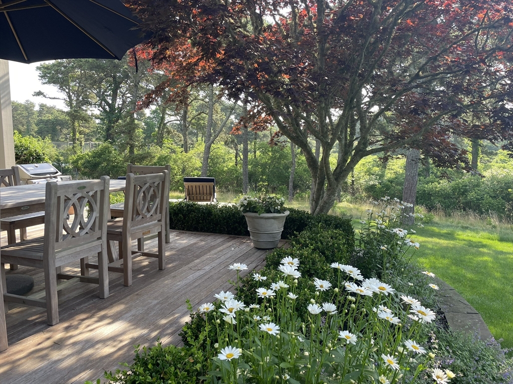 1 A Pochick Avenue Nantucket, MA 02554 - Photo 7 of 41 a view of a patio with table and chairs potted plants and large tree