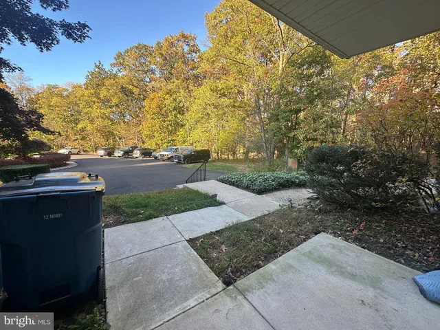 a view of a pathway of a yard