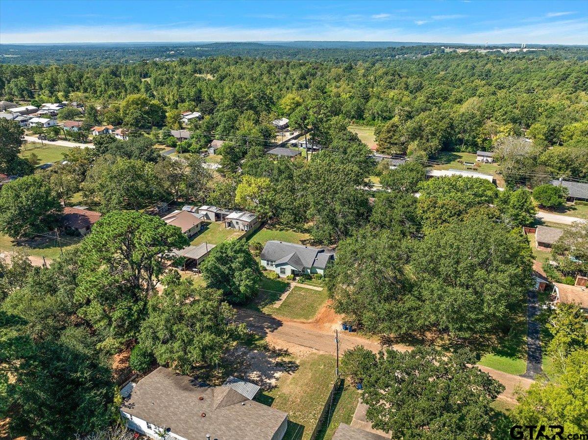 228 Fairview Street Rusk, TX 75785 - Photo 27 of 35 a view of a city