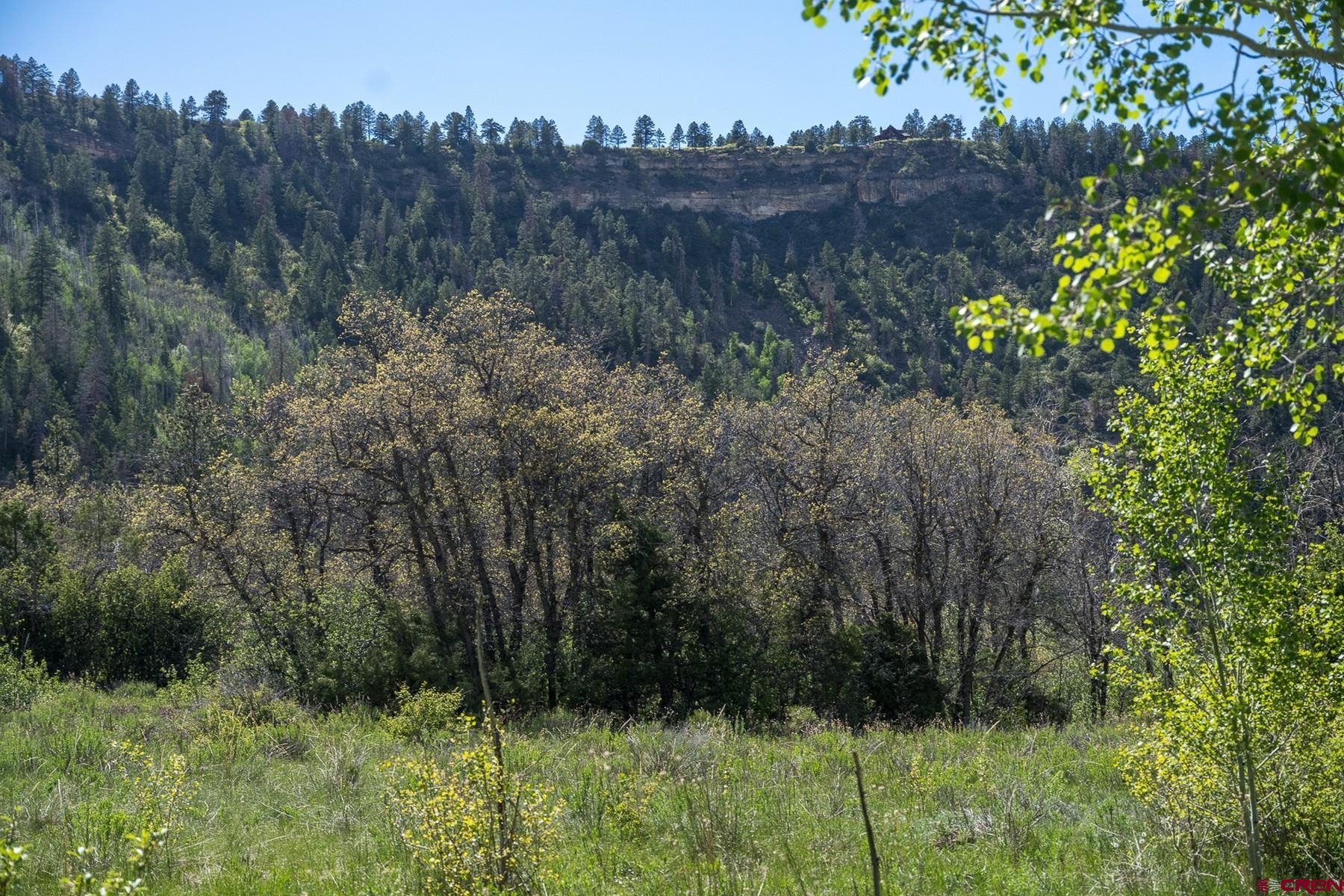 Tract 13-5 M44 Road Placerville, CO 81430 - Photo 6 of 22 Gallery Image 6