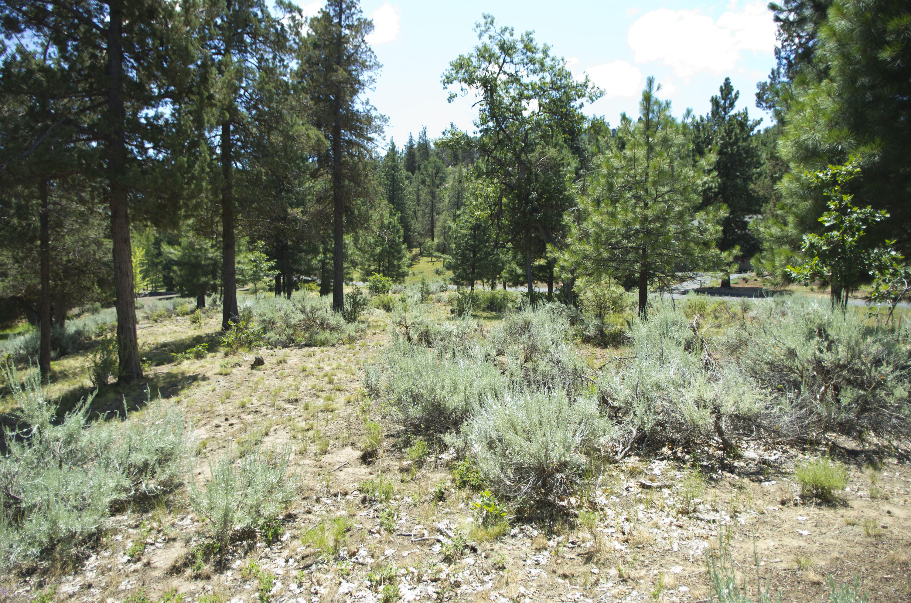 Murrelet Road Klamath Falls, OR 97601 - Photo 3 of 11 Lot02
