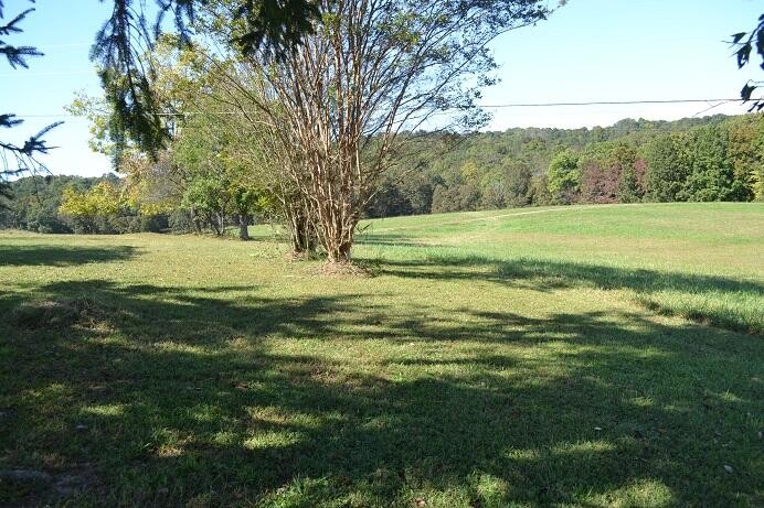 425 Sable Estates Ln Spring Spring City, TN 37381 - Photo 20 of 26
