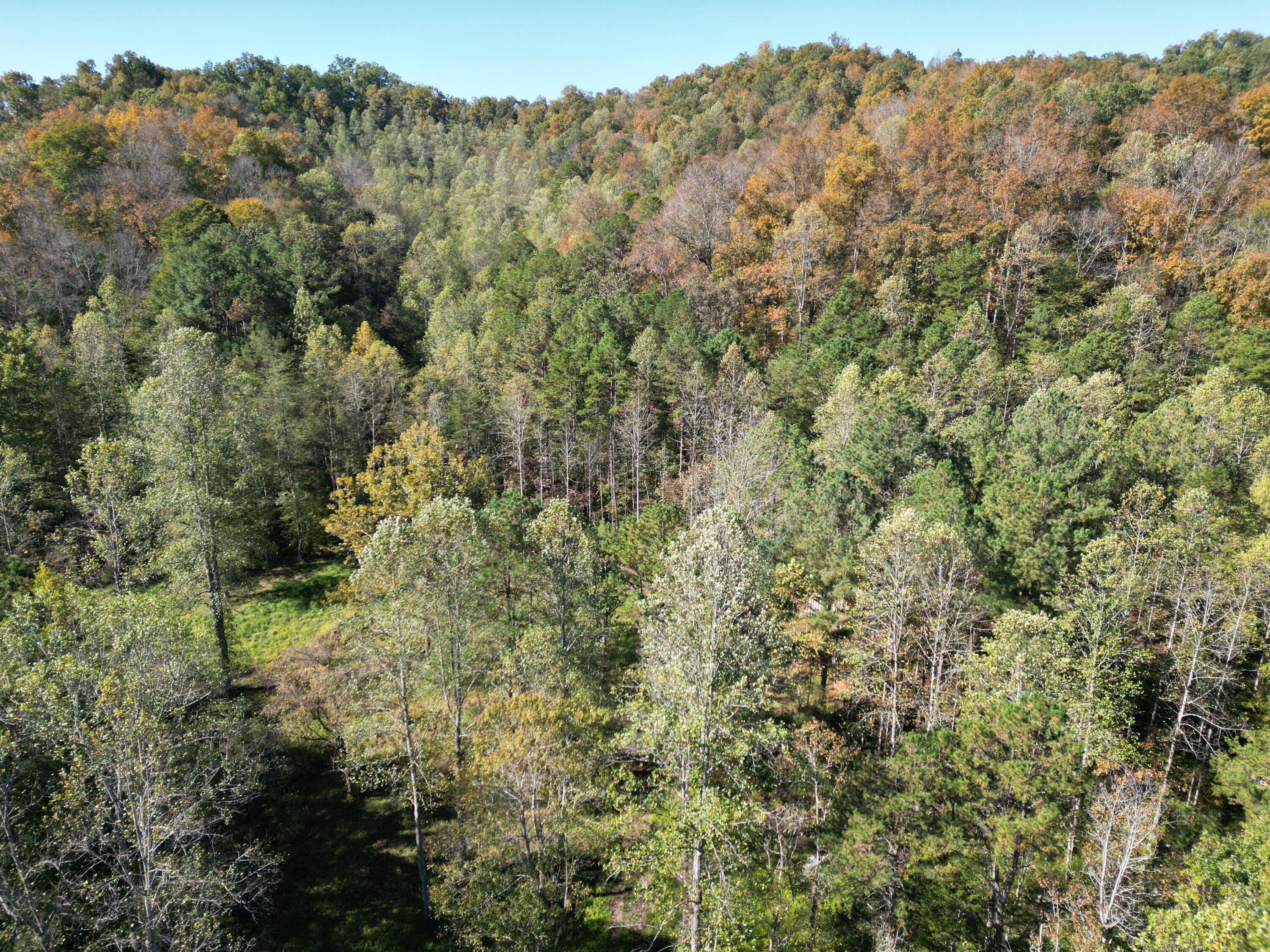 9999 Reed Branch Road Manchester, KY 40962 - Photo 23 of 48 DJI_0793