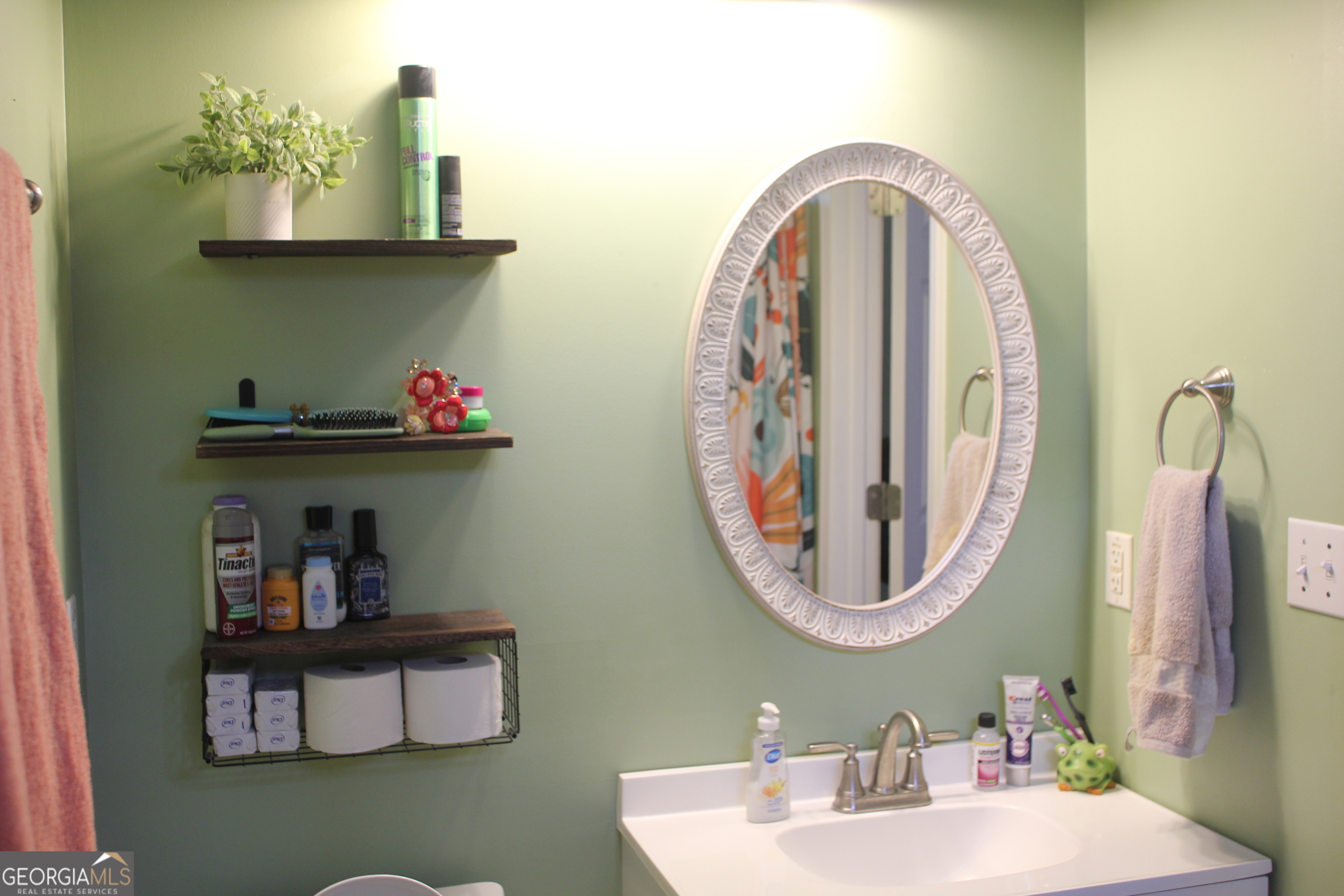 2850 Isaac Akins Road Statesboro, GA 30458 - Photo 24 of 29 a bathroom with a mirror and a sink