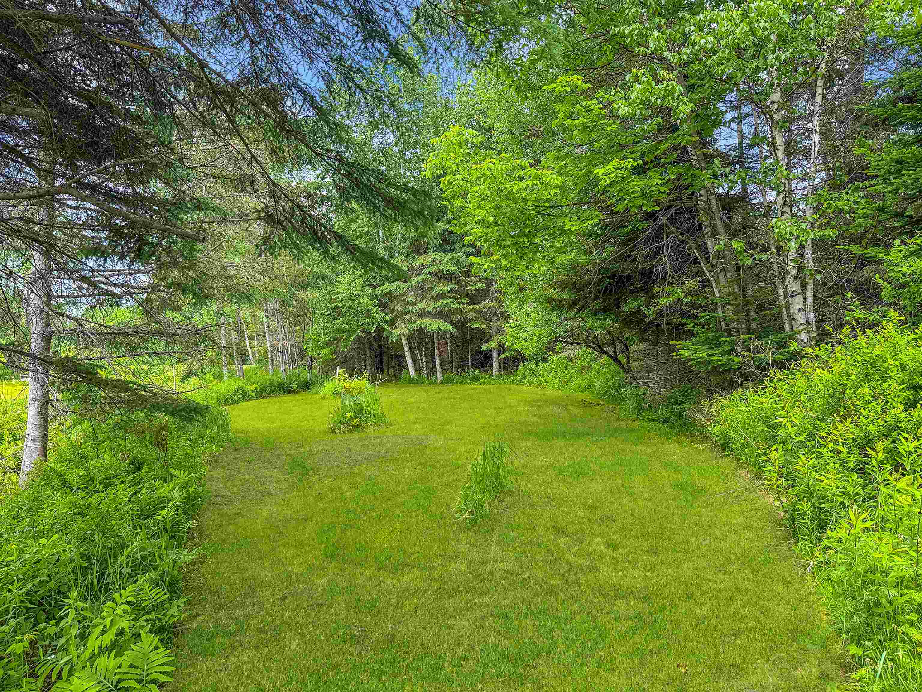 126 Gray Road Columbia, NH 03576 - Photo 54 of 59