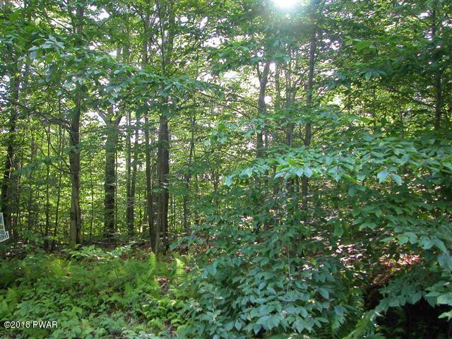 Lake Road Thompson, PA 18465 - Photo 2 of 3