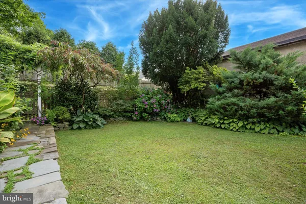 a view of a garden with a chair