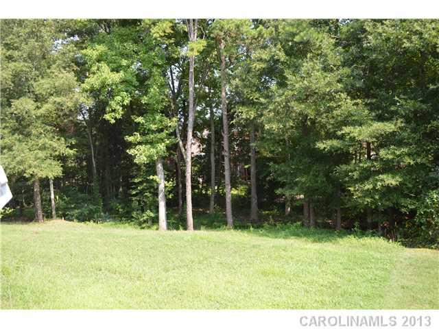 1705 Copperplate Road Charlotte, NC 28262 - Photo 12 of 14 a backyard of a house with lots of green space