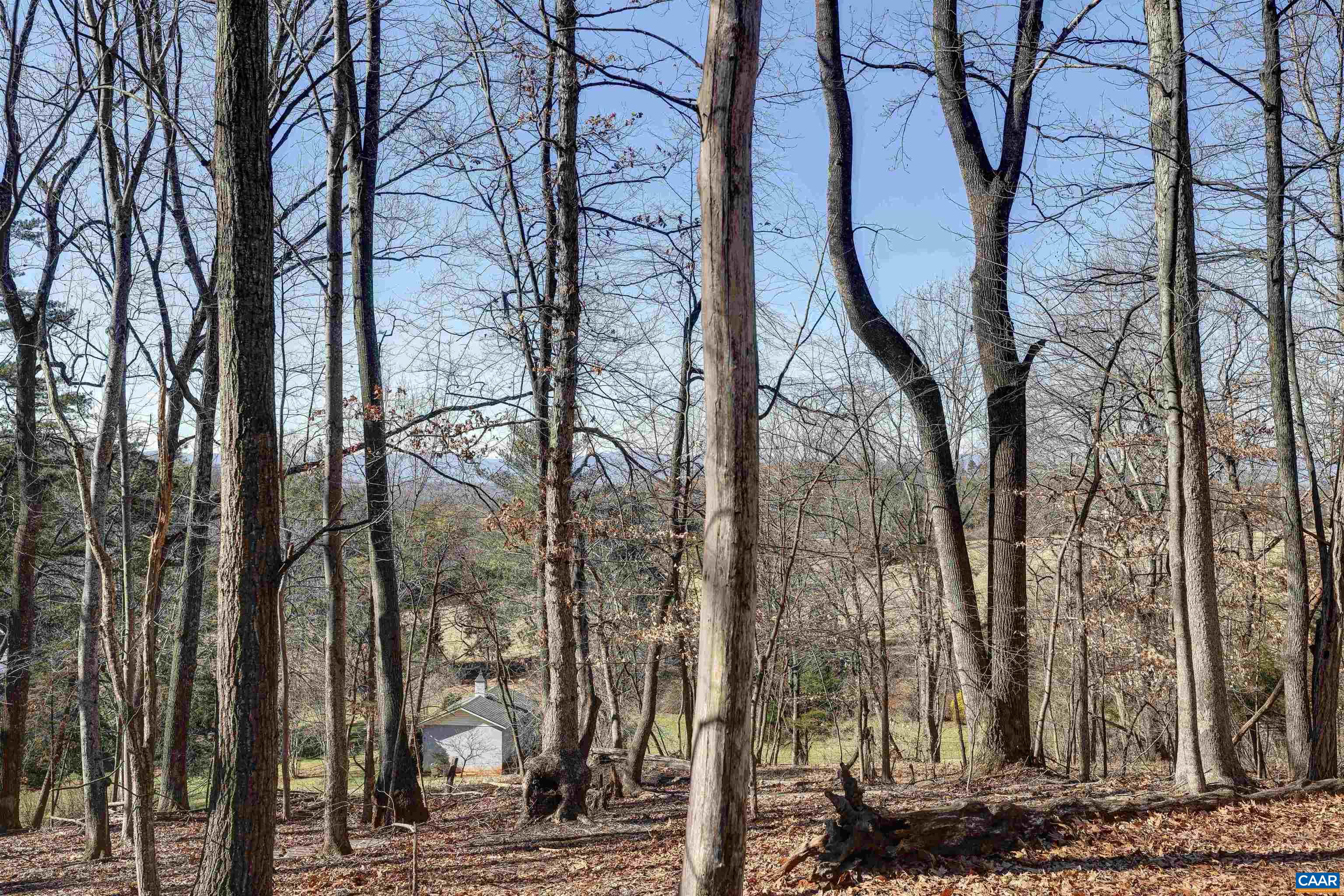 753 Wolf Trap Road Charlottesville, VA 22911 - Photo 50 of 58 Gallery Image 50