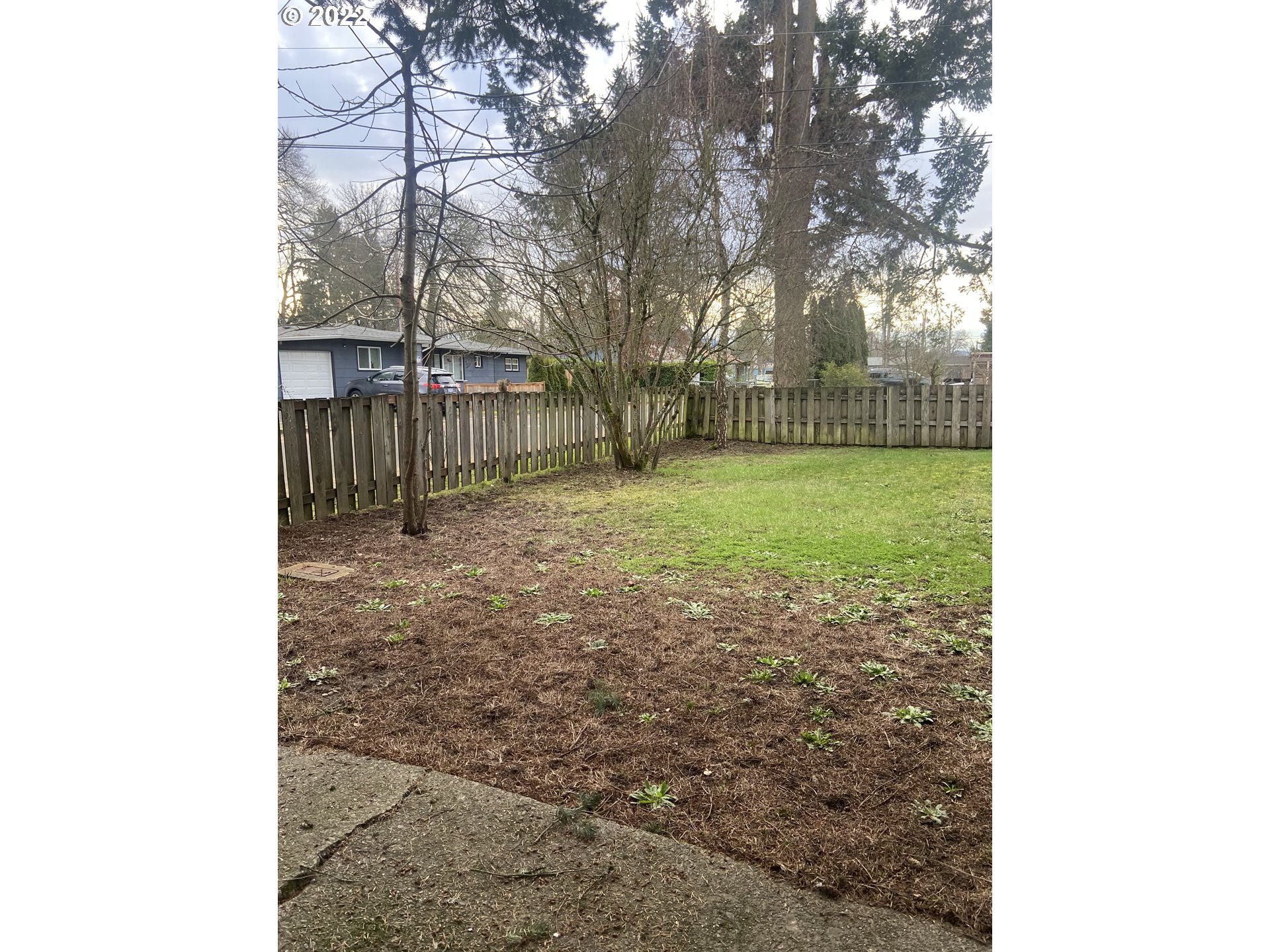 902 25th Place Springfield, OR 97477 - Photo 15 of 15 a view of a yard with a tree