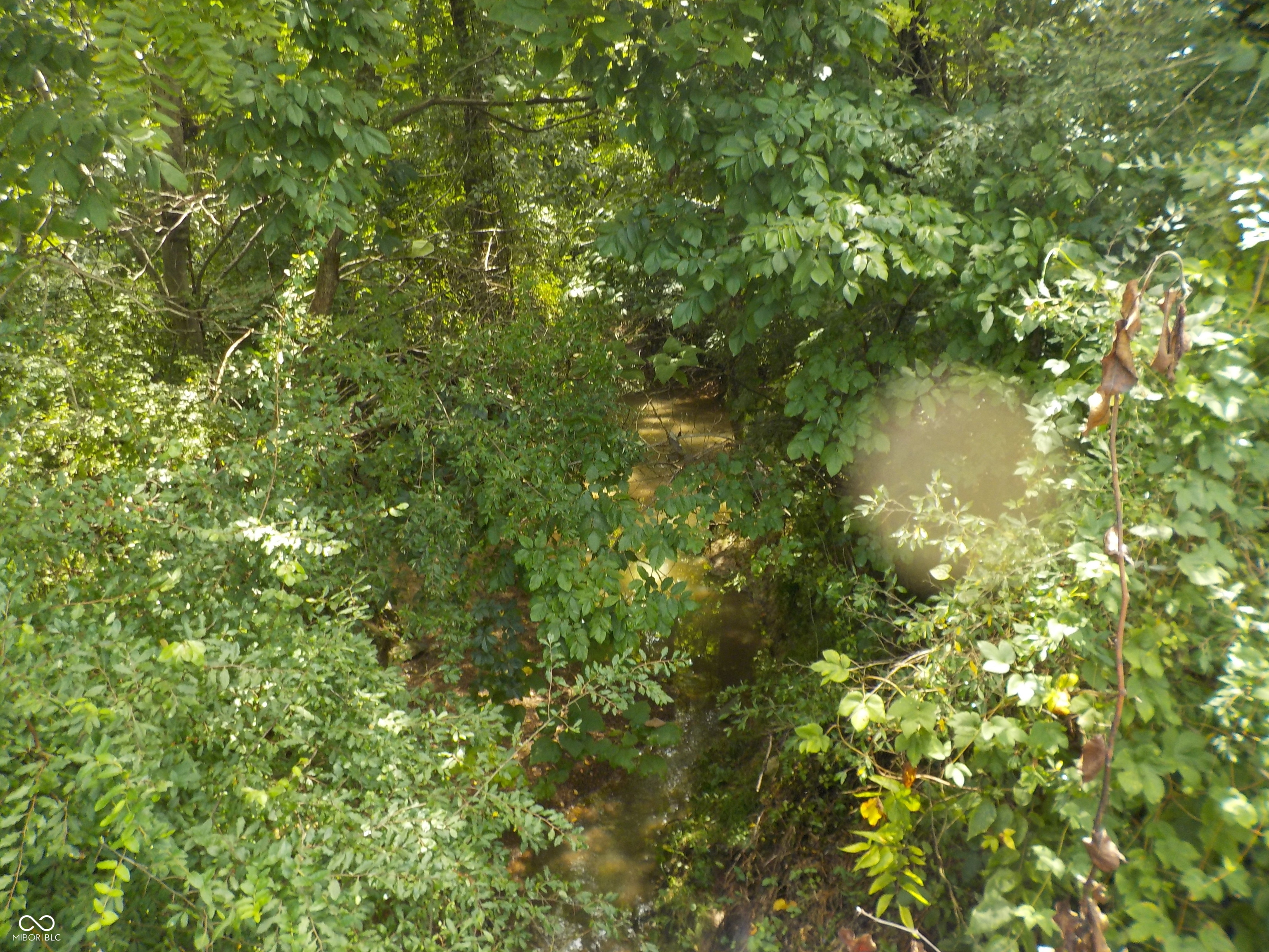 0 East County Rd 475 Road South Winslow, IN 47598 - Photo 3 of 4 Gallery Image 3