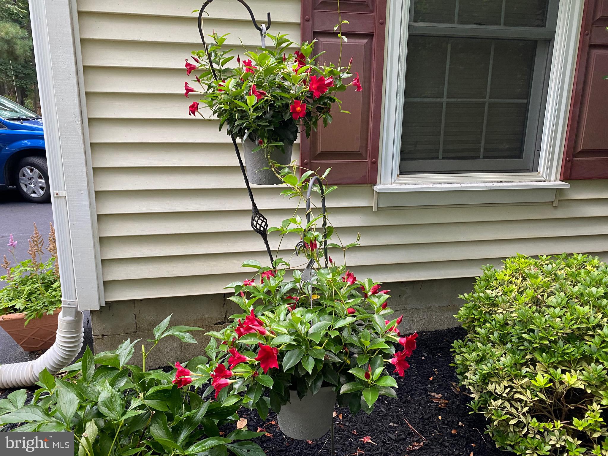 129 Bortons Road Marlton, NJ 08053 - Photo 59 of 75