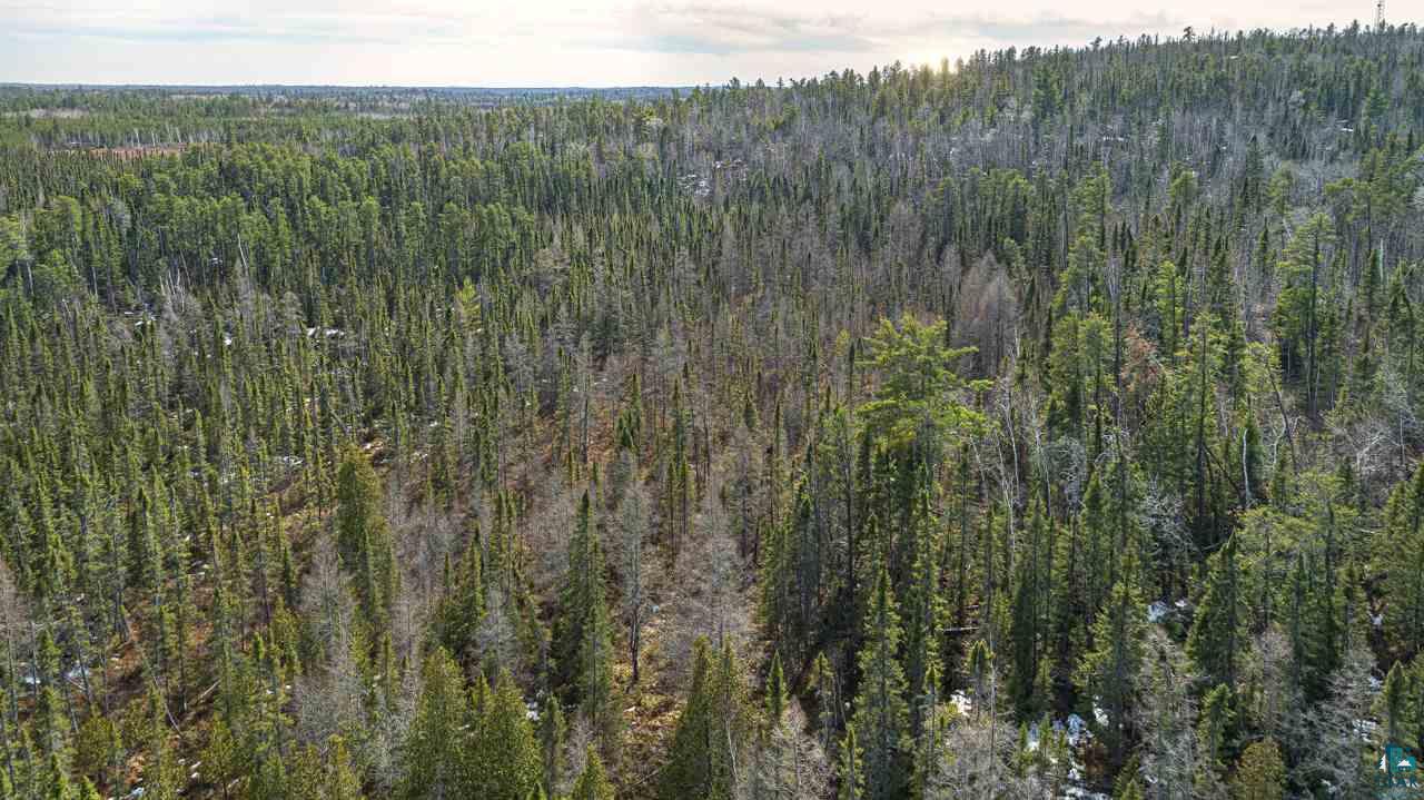 Tbd Tbd Ccc Camp Road Ely, MN 55731 - Photo 1 of 25 Gallery Image 1