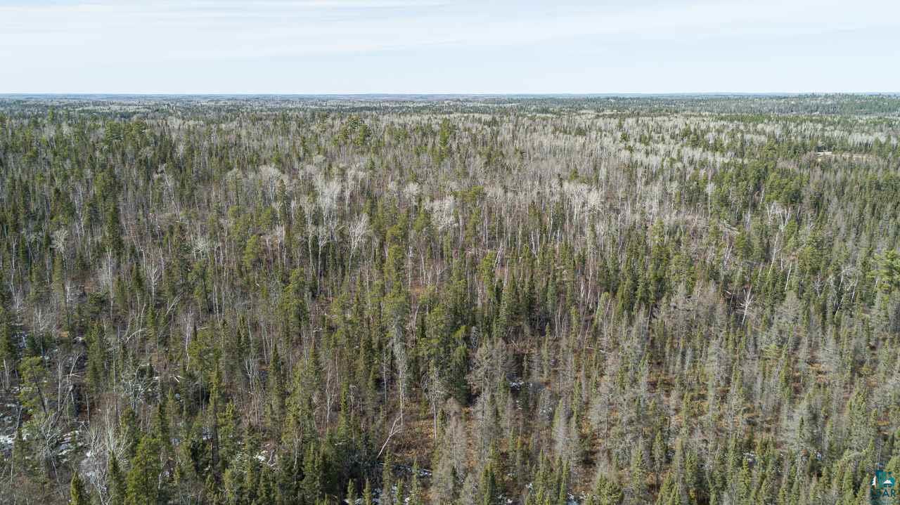 Tbd Tbd Ccc Camp Road Ely, MN 55731 - Photo 8 of 25 Gallery Image 8
