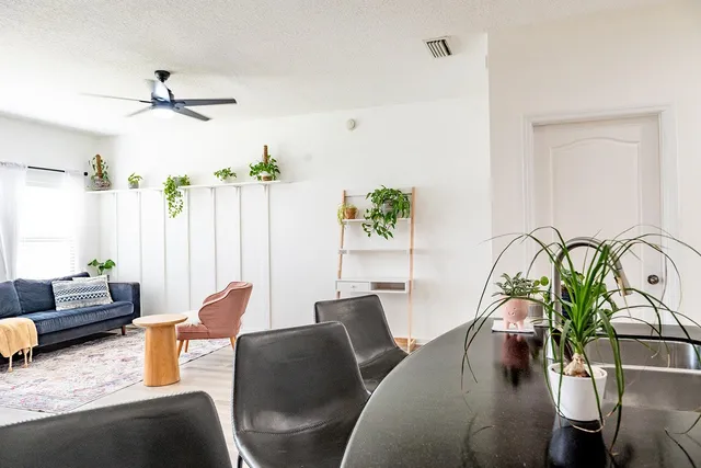 a living room with furniture and a potted plant