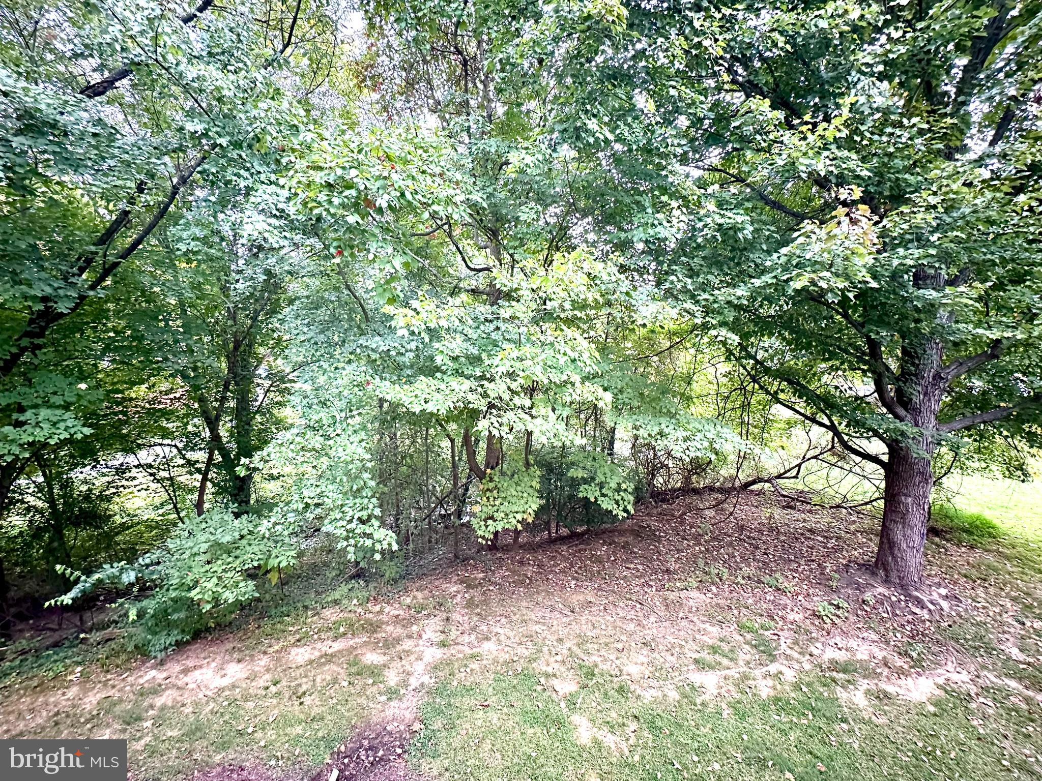 18334 Streamside Drive, Unit 202 Gaithersburg, MD 20879 - Photo 32 of 61 a view of a forest that has large trees