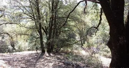 $85,000 | 22550 Far Far A Way, Colfax, CA 95713