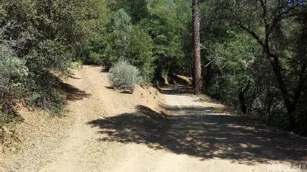 a view of snow on a road