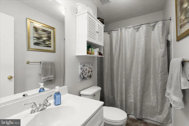 a bathroom with a sink a toilet and shower curtain